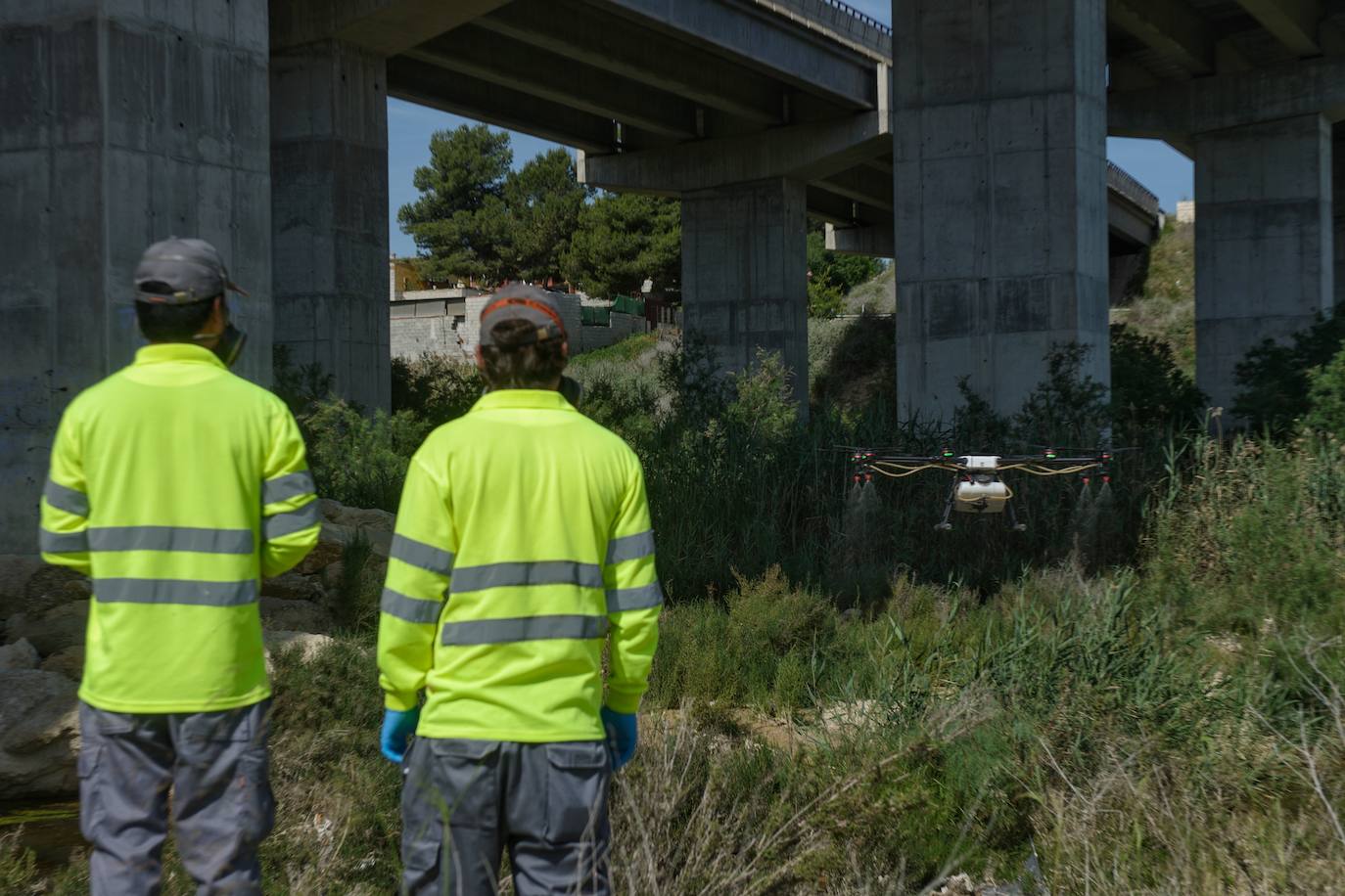 Fotos: Fumigar a vista de pájaro
