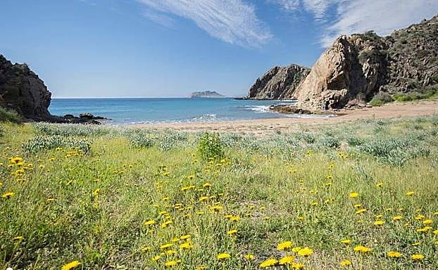 Playa del Baño de las Mujeres con su flora autóctona, antes de la roturación