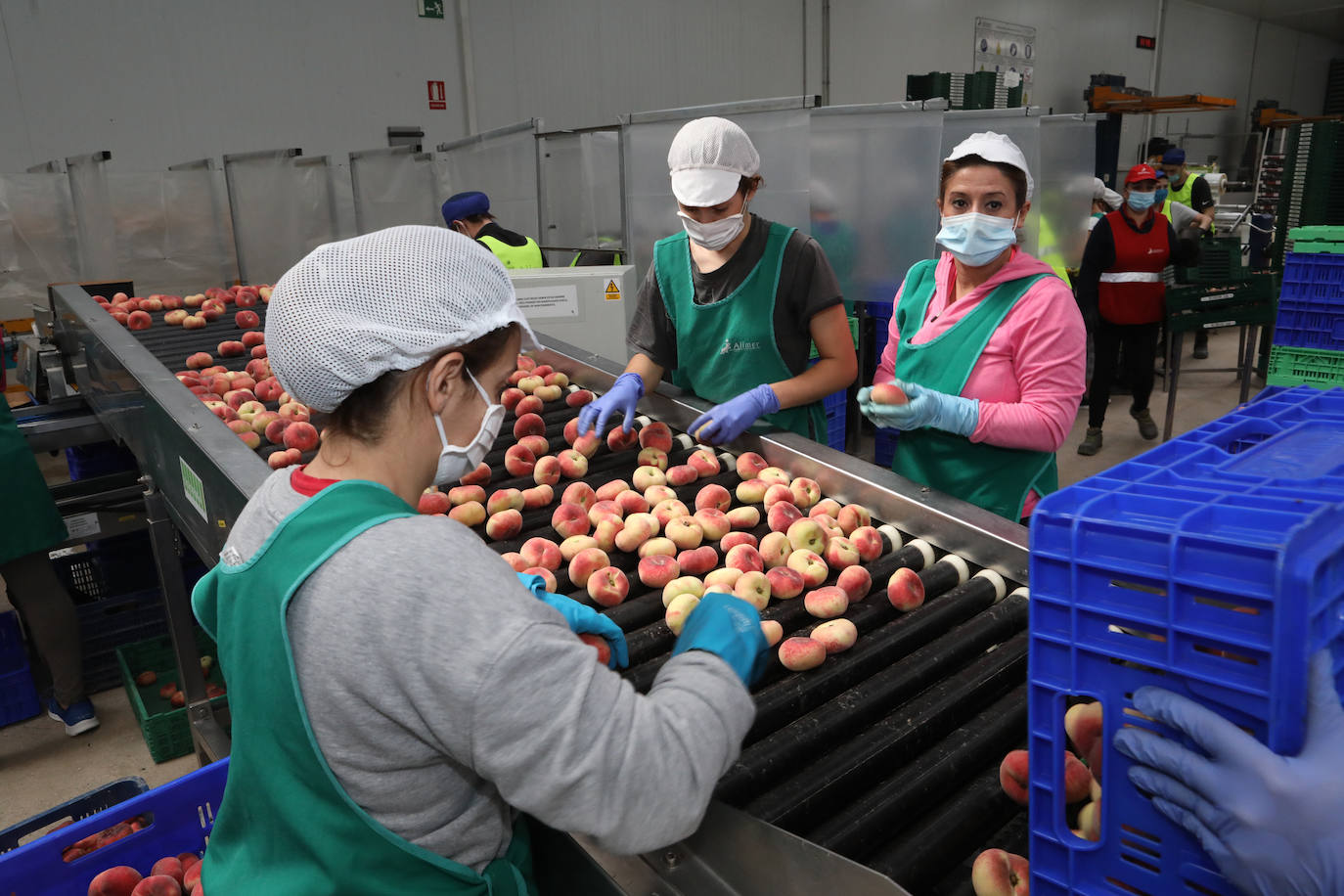 Fotos: La pandemia pasa factura en la cooperativa Alimer