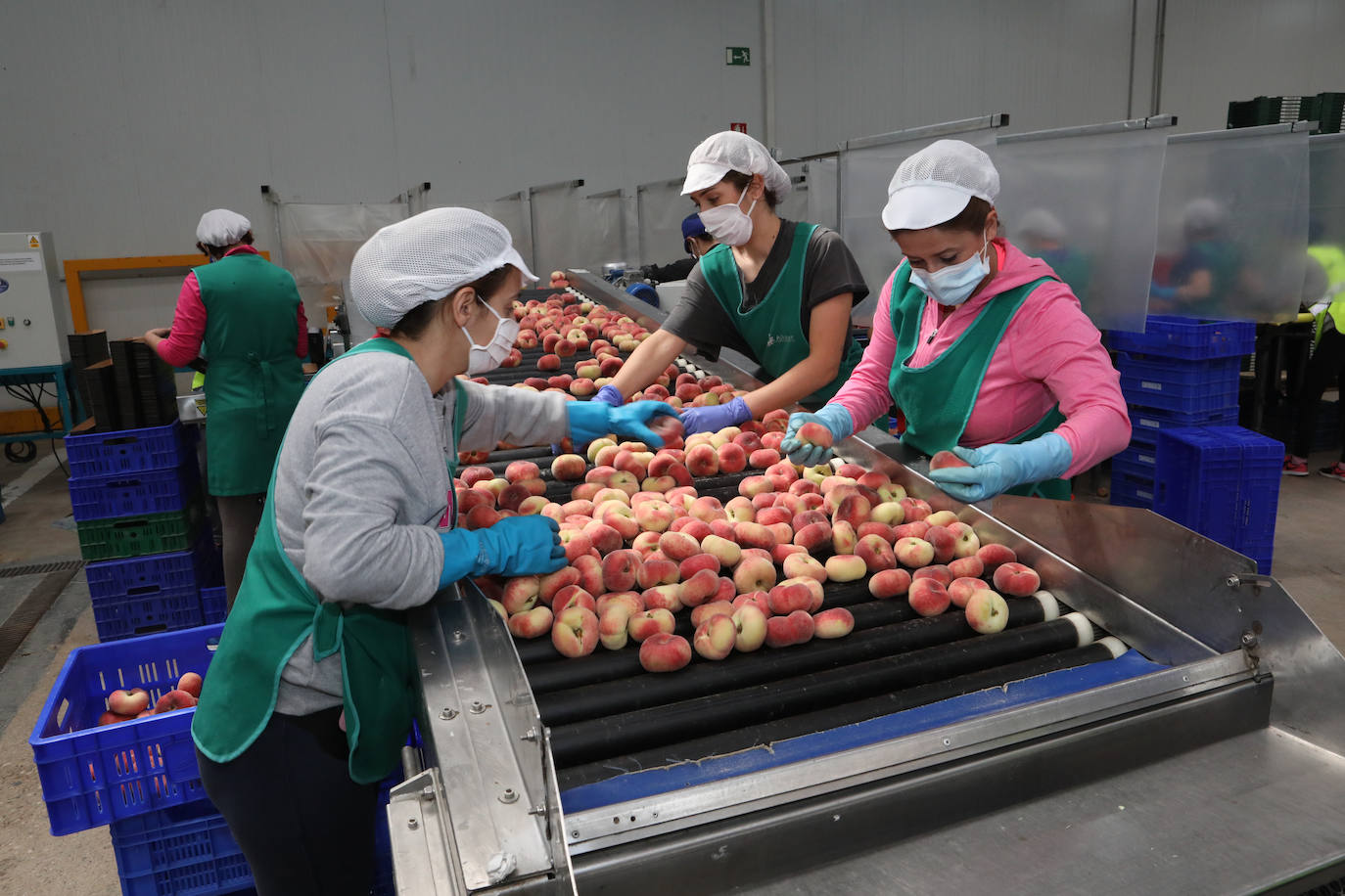 Fotos: La pandemia pasa factura en la cooperativa Alimer