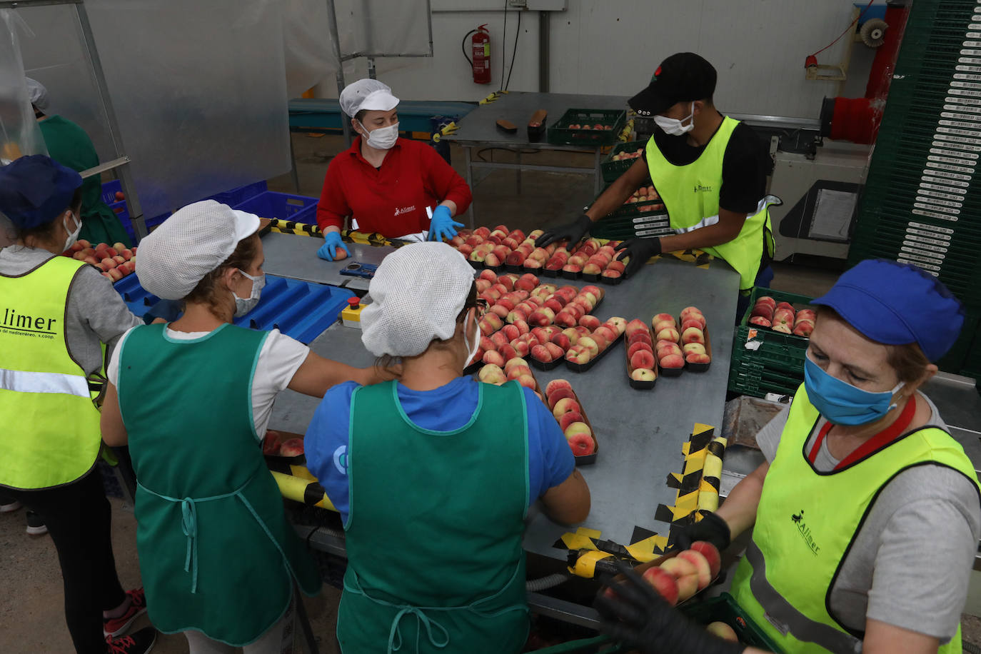 Fotos: La pandemia pasa factura en la cooperativa Alimer