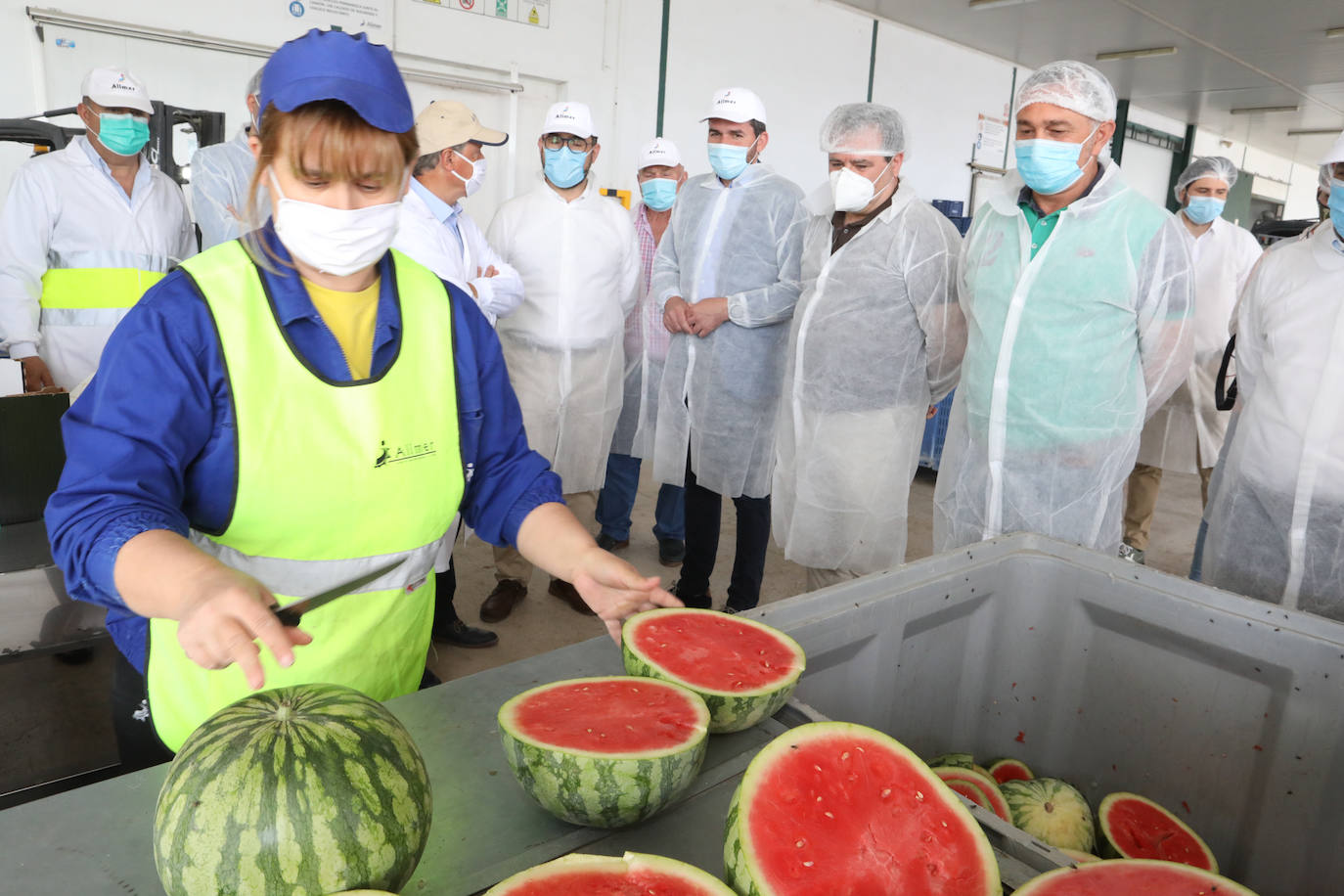 Fotos: La pandemia pasa factura en la cooperativa Alimer