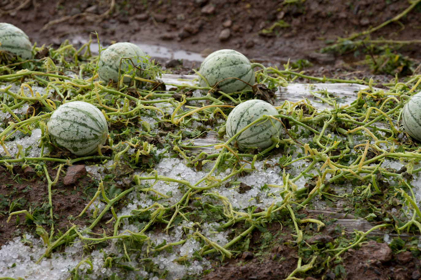 Fotos: Las lluvias provocan cinco accidentes y 68 incidencias en la Región