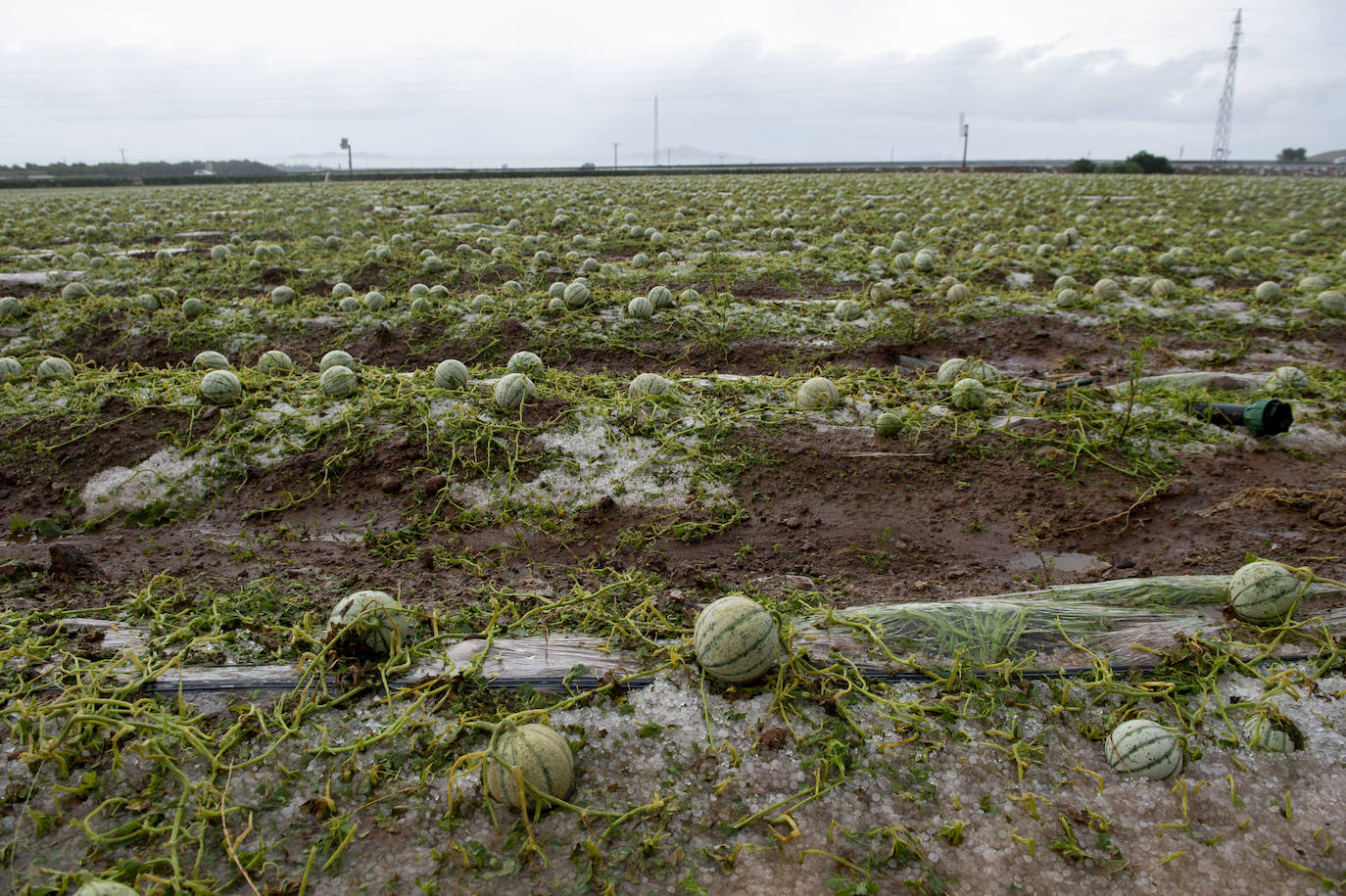 Fotos: Las lluvias provocan cinco accidentes y 68 incidencias en la Región