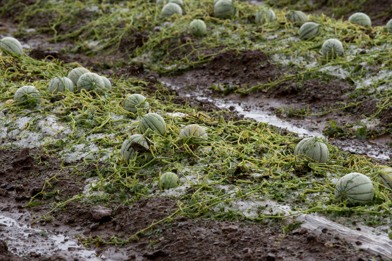 Fotos: Las lluvias provocan cinco accidentes y 68 incidencias en la Región