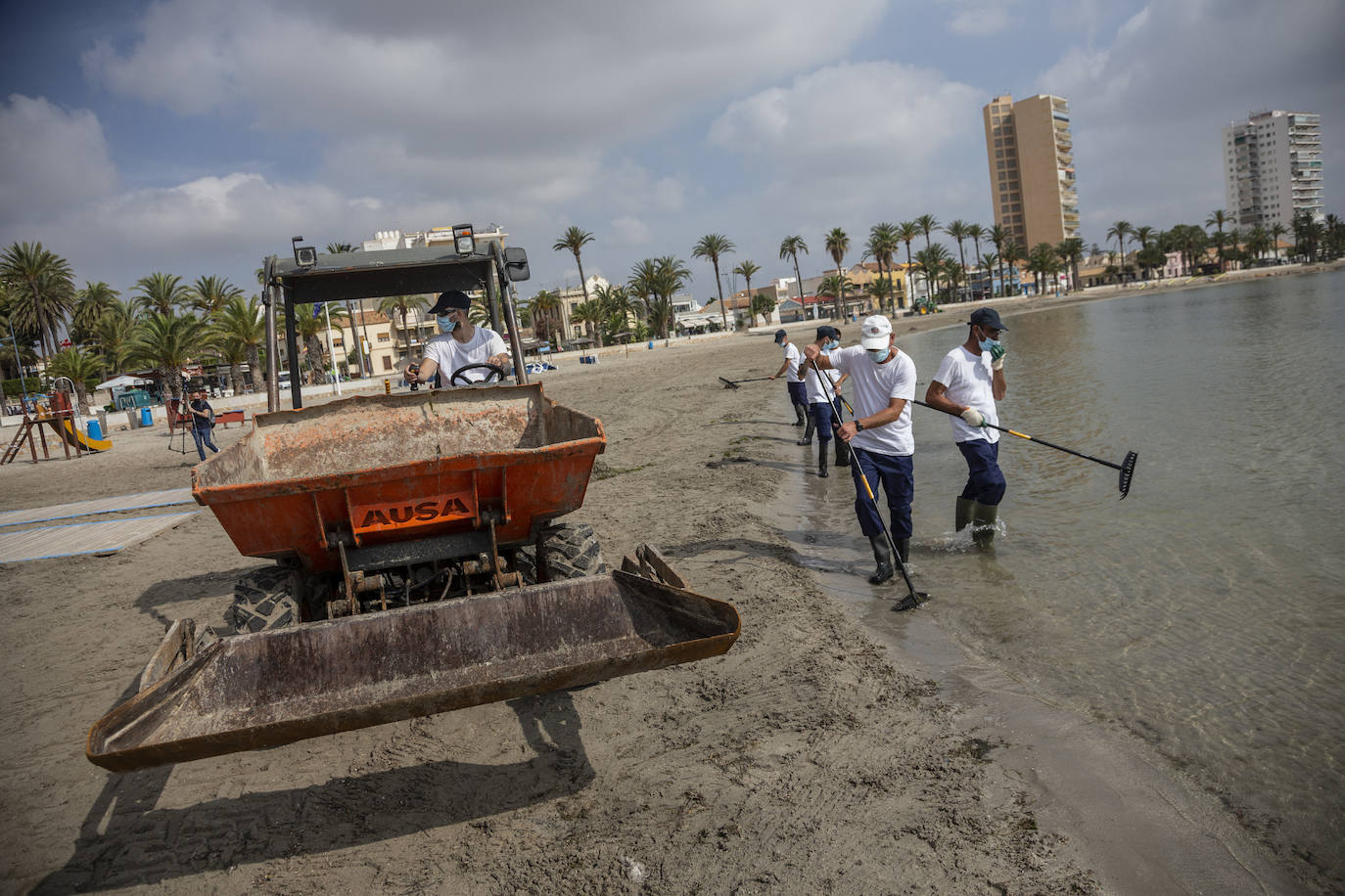 Fotos: La limpieza de las playas del Mar Menor se prorroga por las fuertes lluvias de los últimos días