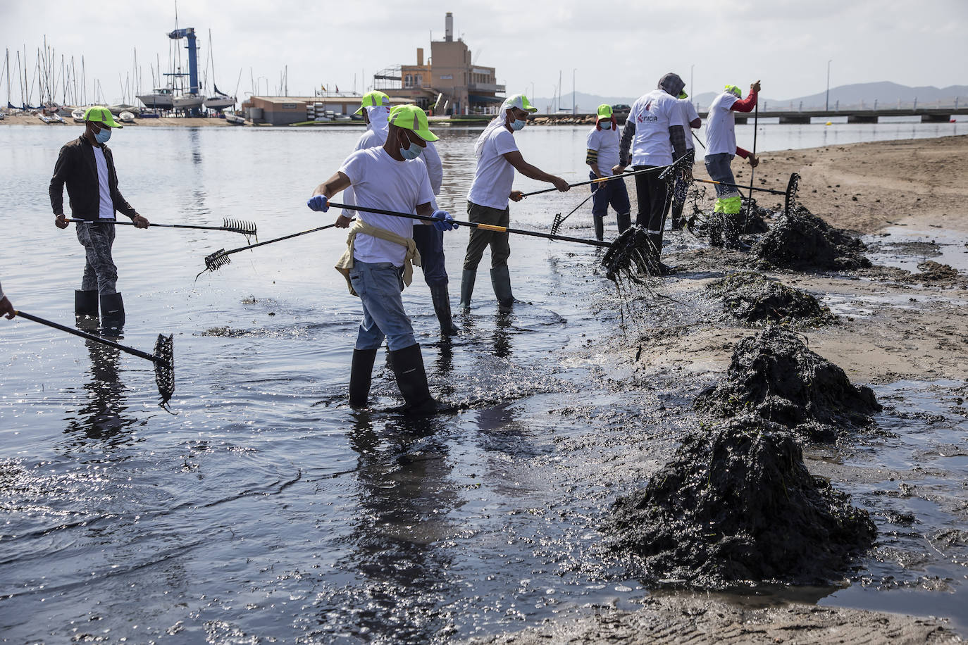 Fotos: La limpieza de las playas del Mar Menor se prorroga por las fuertes lluvias de los últimos días