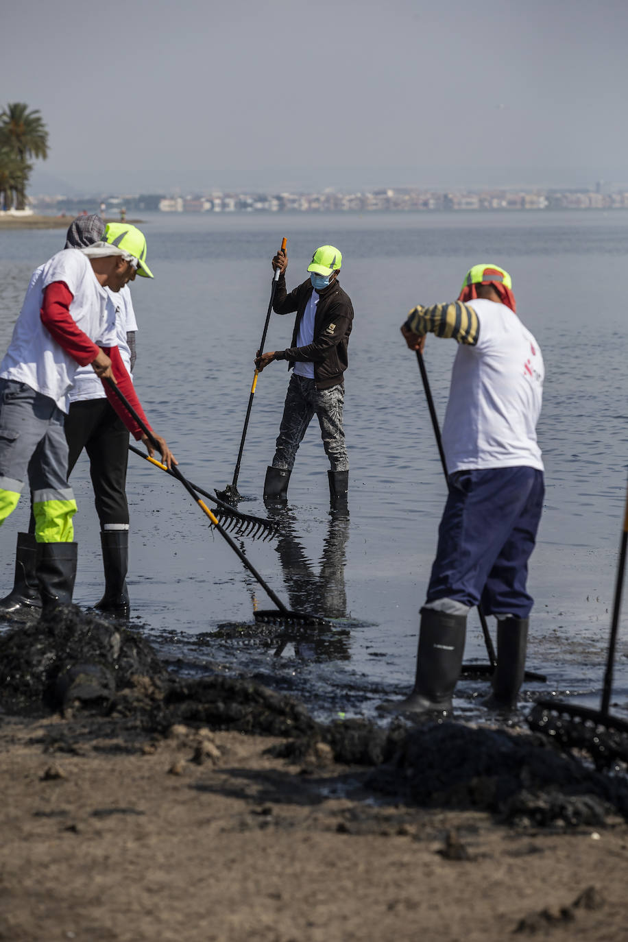 Fotos: La limpieza de las playas del Mar Menor se prorroga por las fuertes lluvias de los últimos días