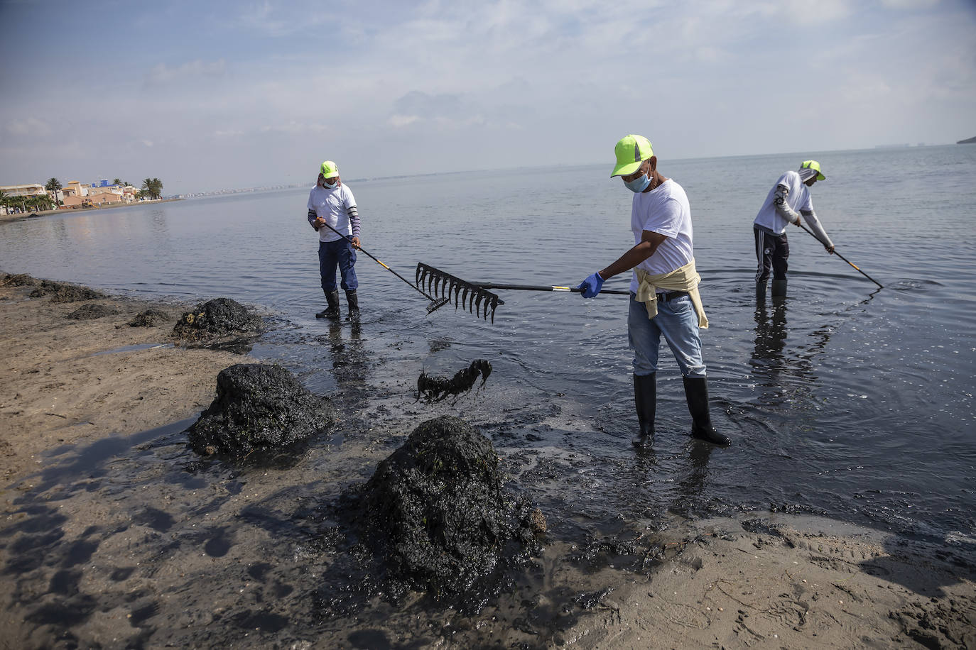 Fotos: La limpieza de las playas del Mar Menor se prorroga por las fuertes lluvias de los últimos días