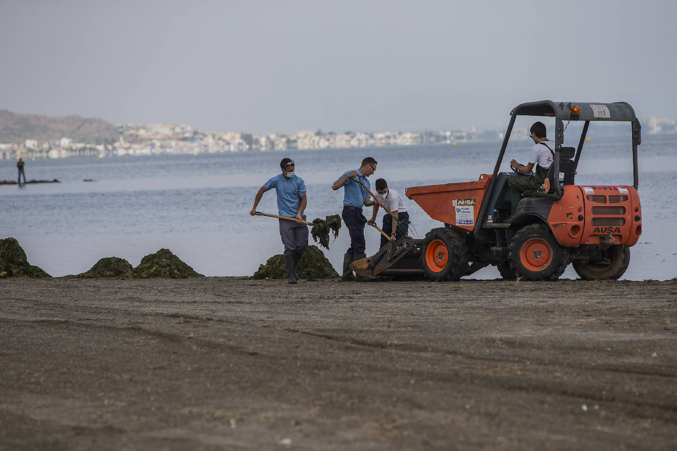 Fotos: La limpieza de las playas del Mar Menor se prorroga por las fuertes lluvias de los últimos días