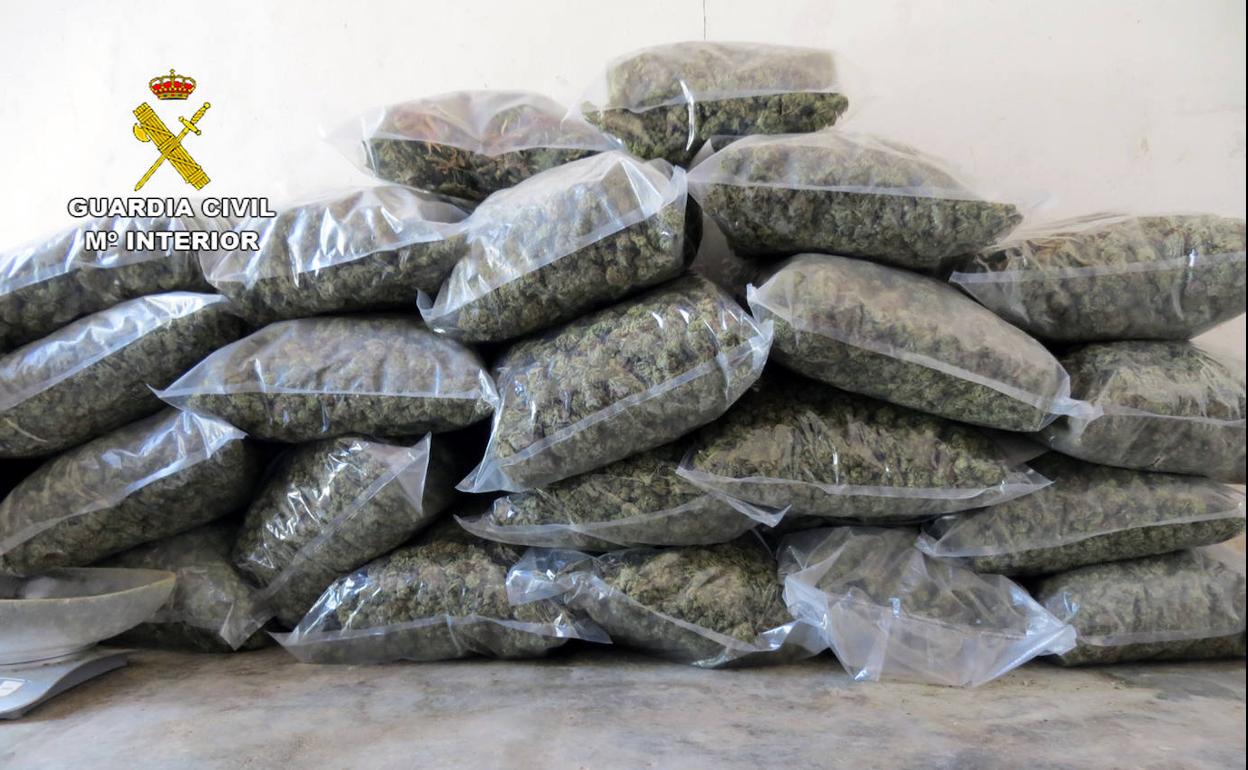 Las bolsas de cogollos de marihuana envasados al vacío incautadas en Pliego por la Guardia Civil.