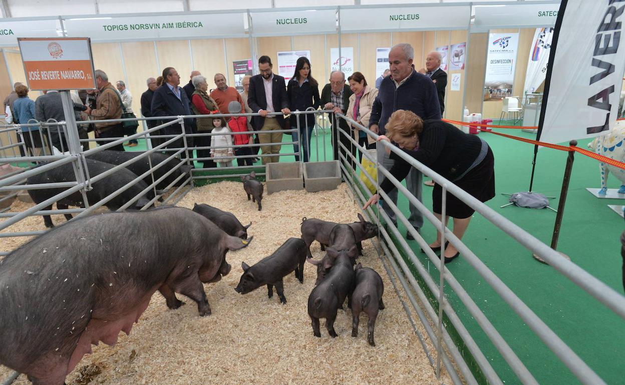 Una de las ediciones anteriores de Sepor.