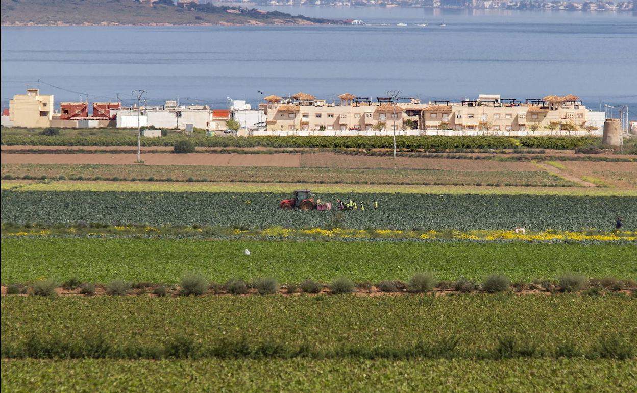Terrenos de cultivo en el entorno del Mar Menor.