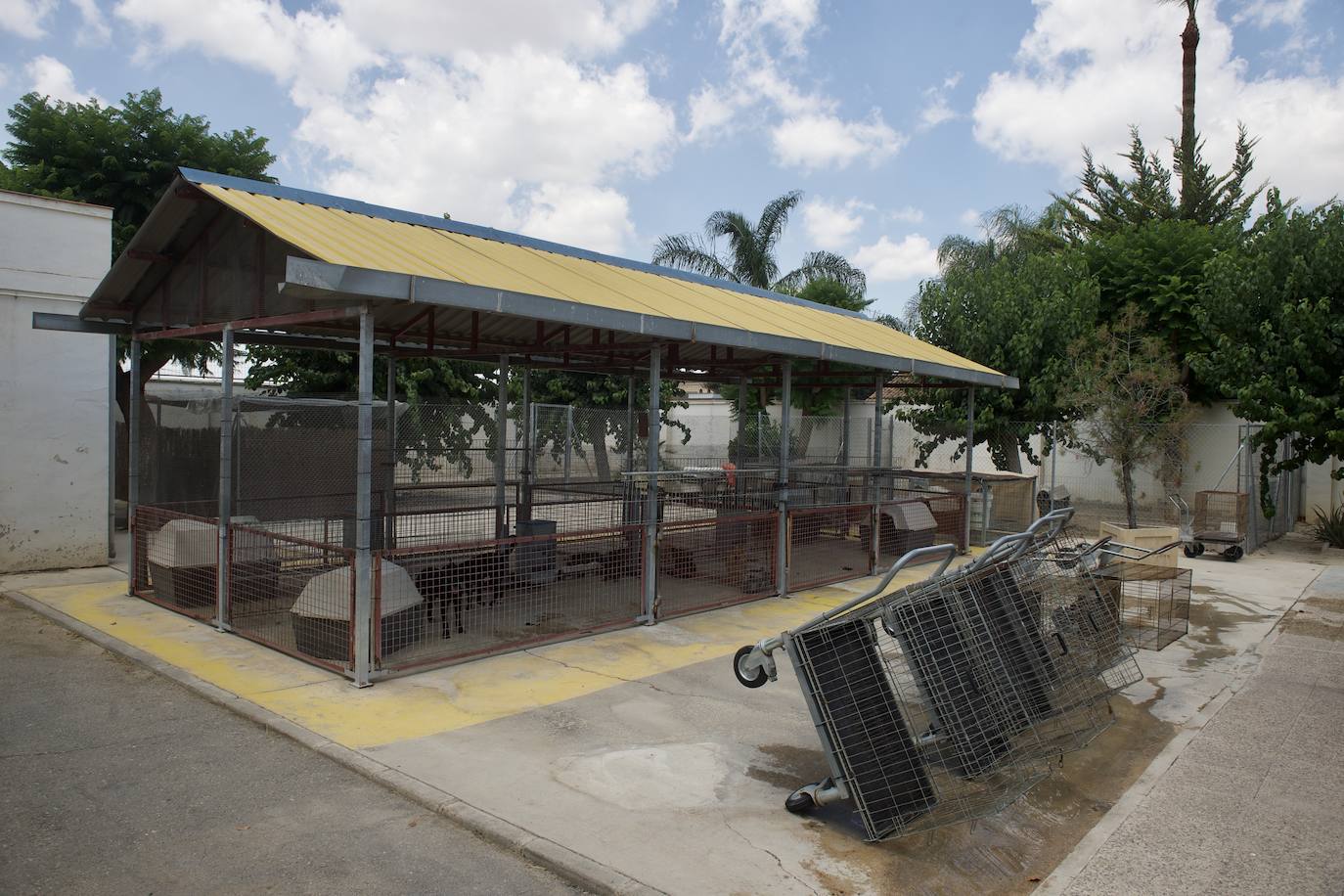 Fotos: El centro de zoonosis tendrá cuatro cuadras más tras su remodelación integral