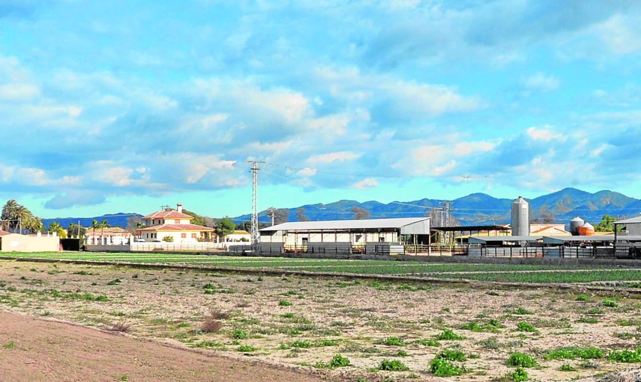 Chalés junto a granjas en una zona de la huerta de Lorca. 