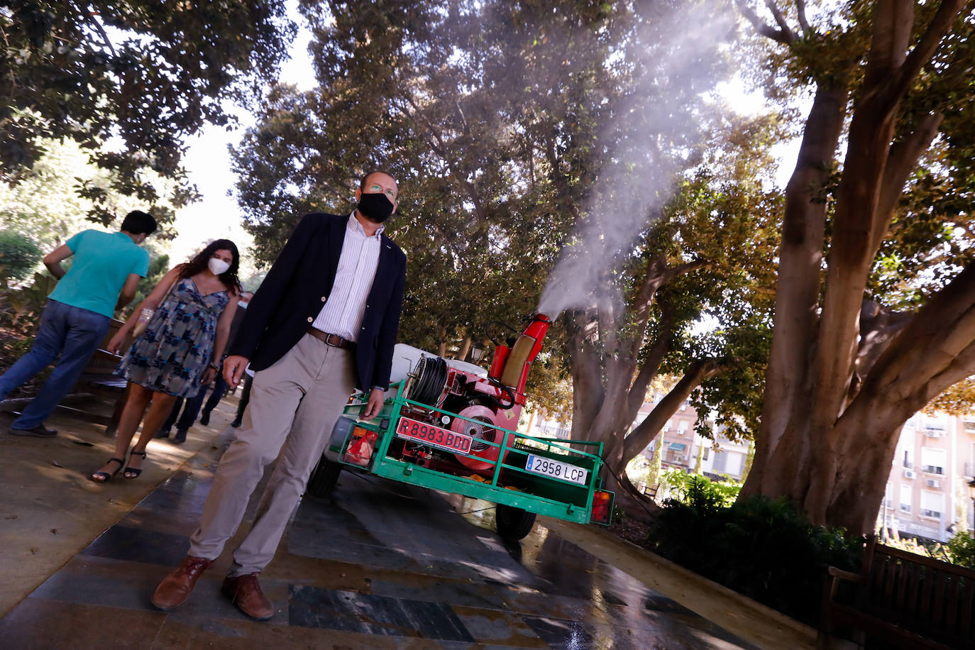 Fotos: ‘Duchas’ a los ficus para evitar la caída de ramas por el calor