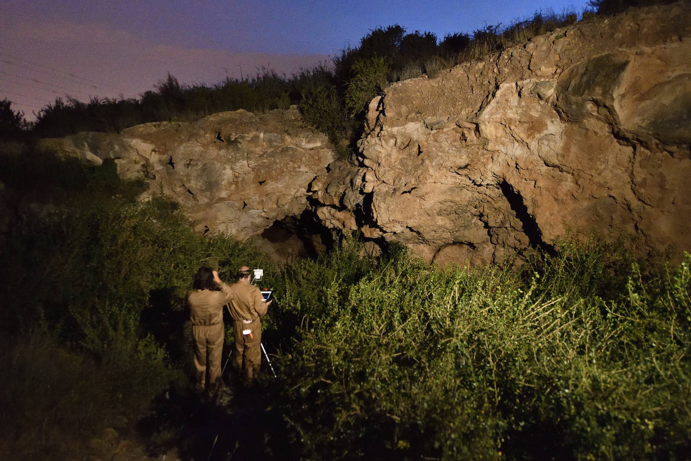 Fotos: La vida secreta del murciélago ratonero patudo