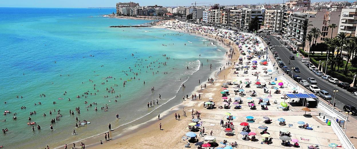 het internet Noodlottig ballet Torrevieja, una de las ciudades con las playas más seguras de toda España |  La Verdad