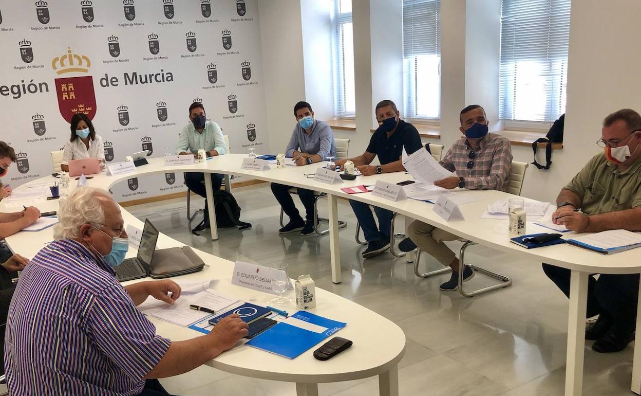 Reunión del Consejo Asesor Regional de la Actividad Física y el Deporte de la Región de Murcia, este martes.