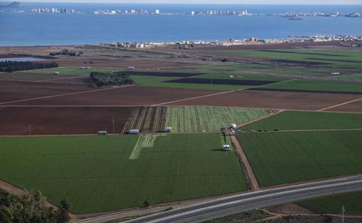 Cultivos de regadío al borde del Mar Menor en una foto de archivo.