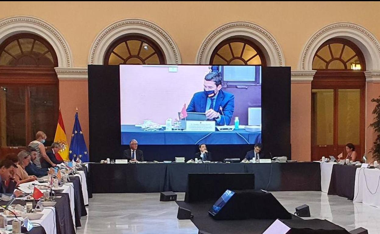 El consejero Antonio Luengo durante su intervención en la Conferencia Sectorial de Agricultura sobre el futuro de la Política Agraria Común, celebrada en el Ministerio de Agricultura.