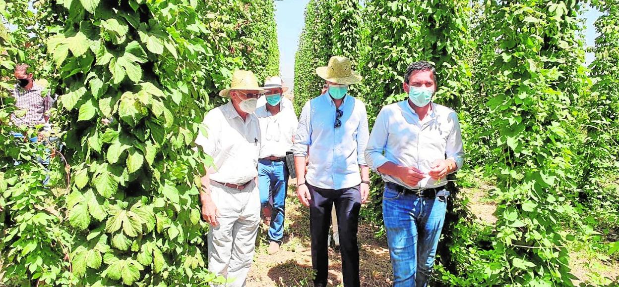 El consejero Luengo (1d), durante su visita a los cultivos de lúpulo en el Centro de Demostración Agraria Las Nogueras, ayer. 