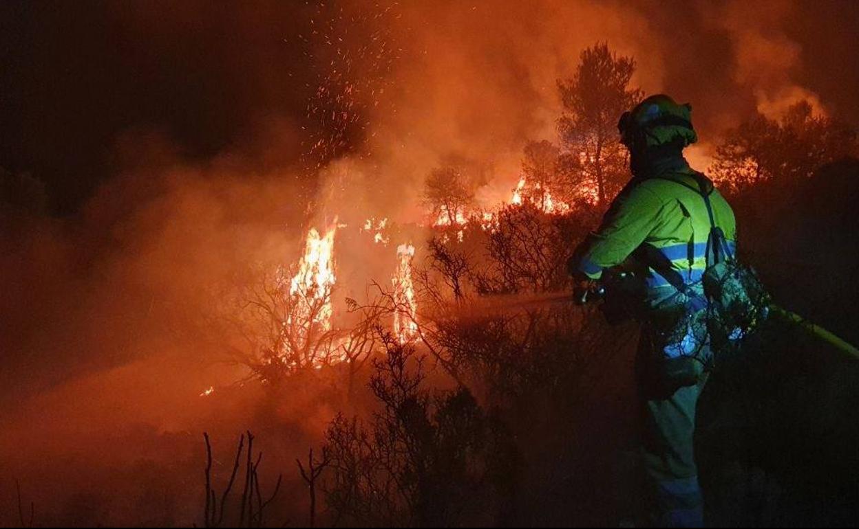 Un bombero intenta apagar las llamas del incendio en Férez.