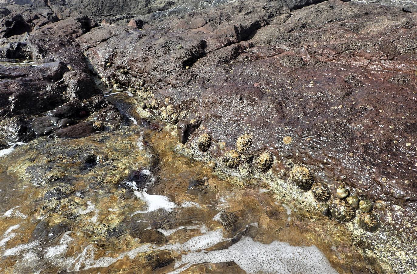 Fotos: Mucho más que una lapa