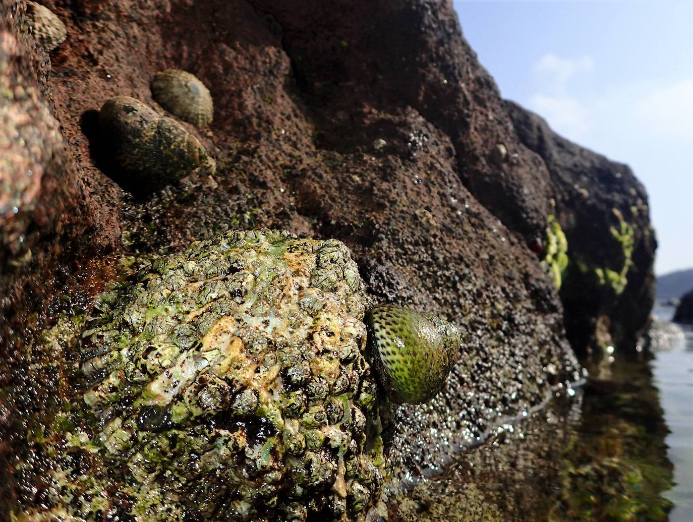 Fotos: Mucho más que una lapa