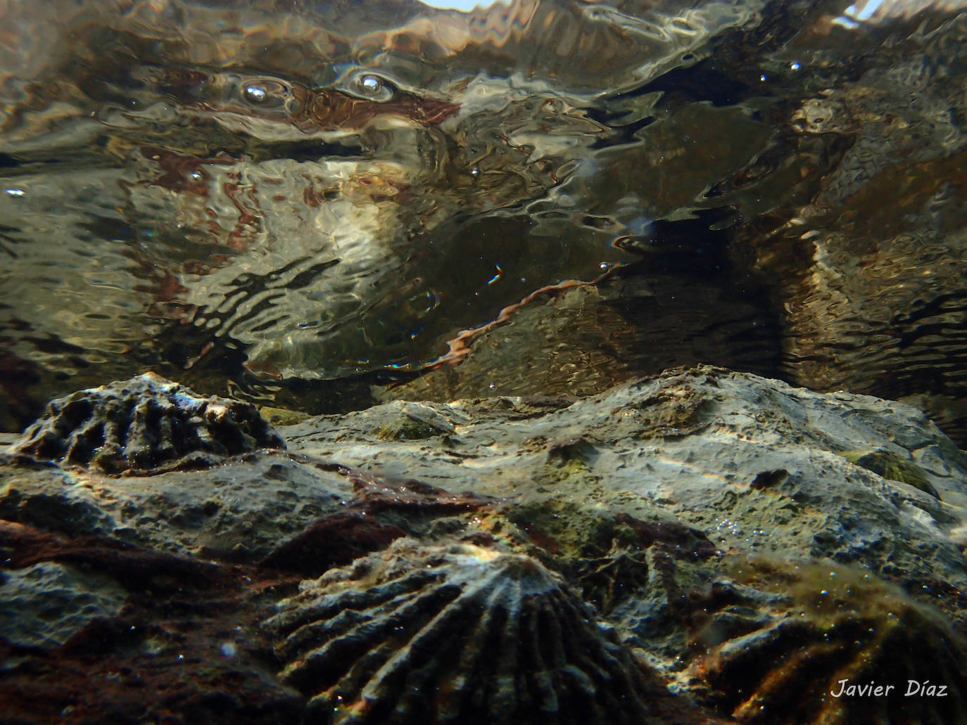 Fotos: Mucho más que una lapa