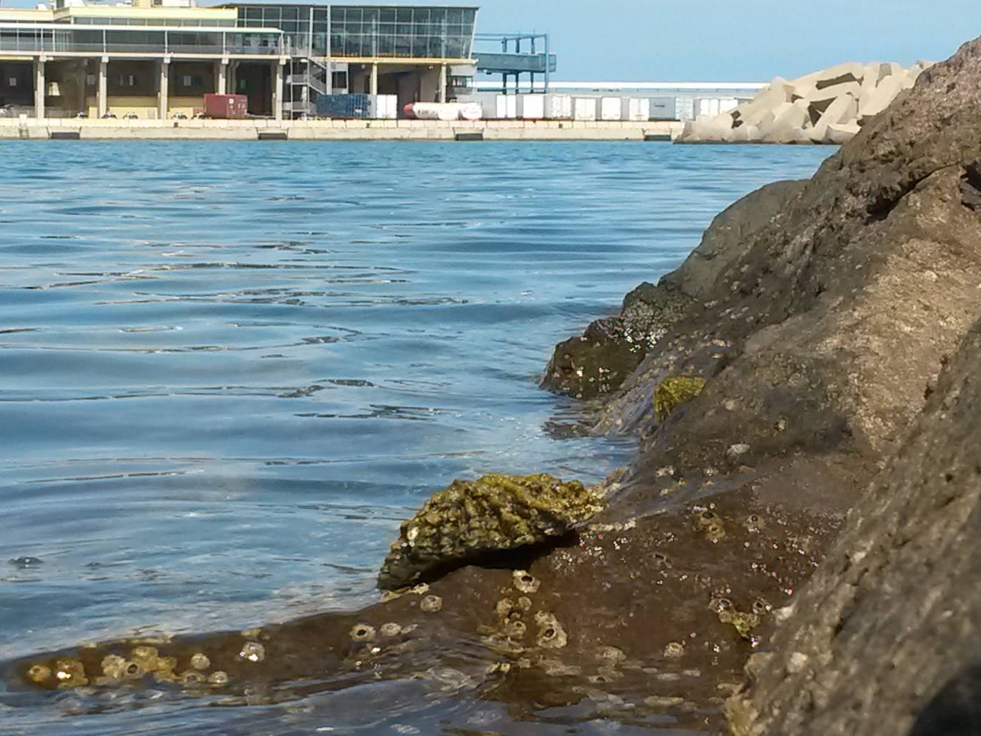 Fotos: Mucho más que una lapa