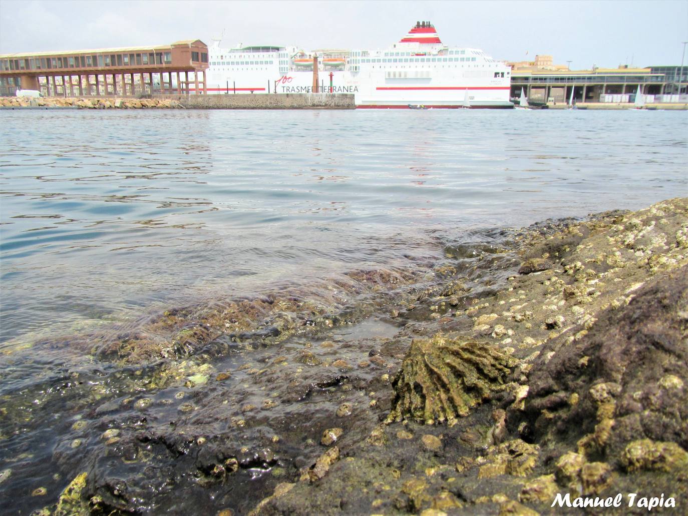 Fotos: Mucho más que una lapa