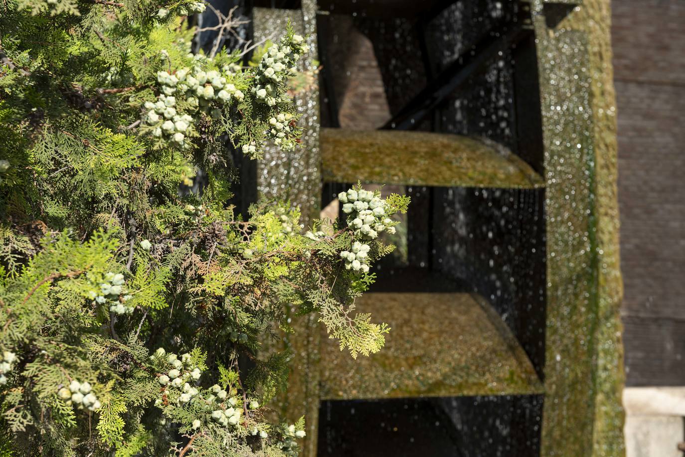 Fotos: La rueda de La Ñora acogerá cinco jardines y un área de reserva arqueológica
