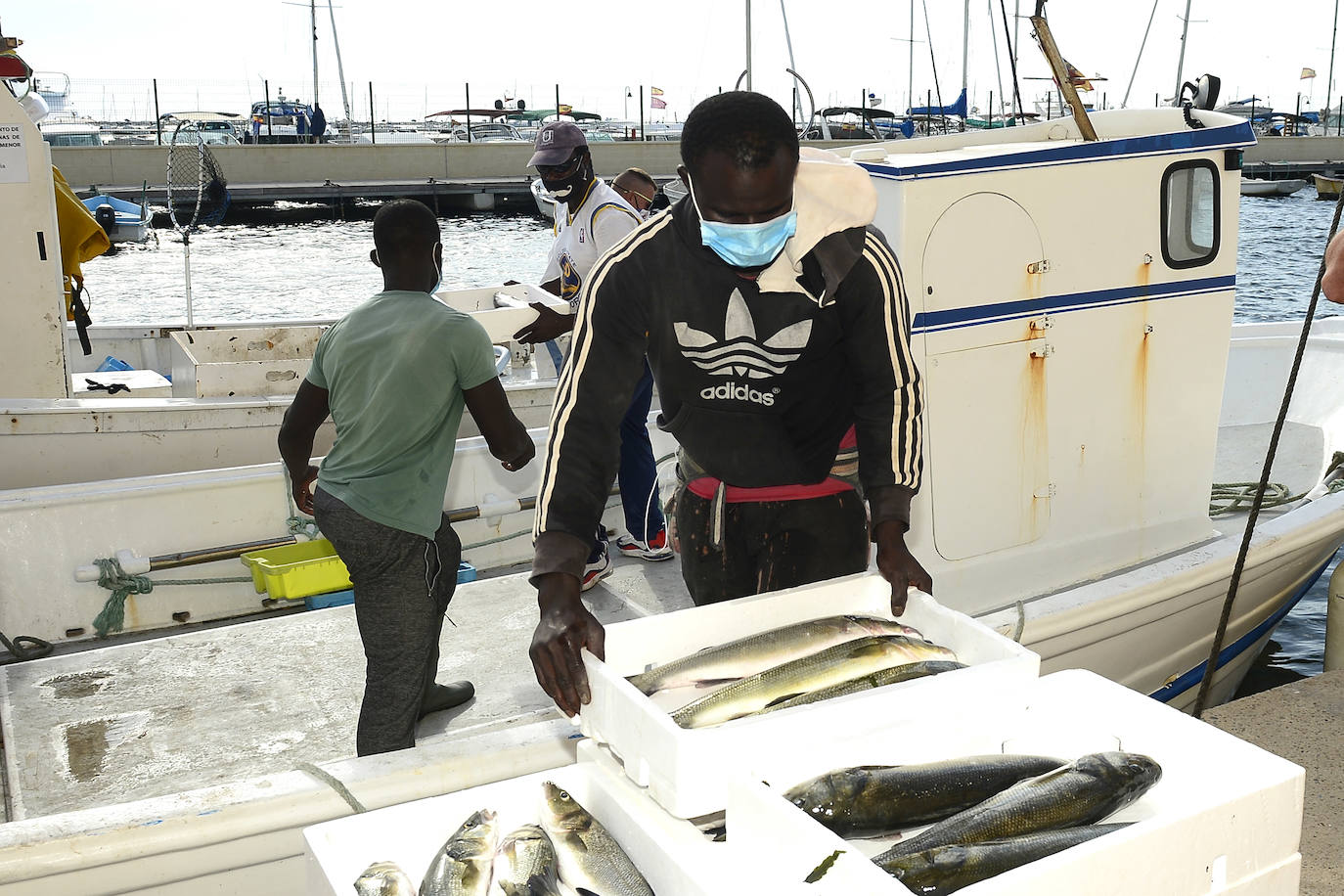 Fotos: El consejero Antonio Luengo visita la Cofradía de Pescadores de San Pedro del Pinatar