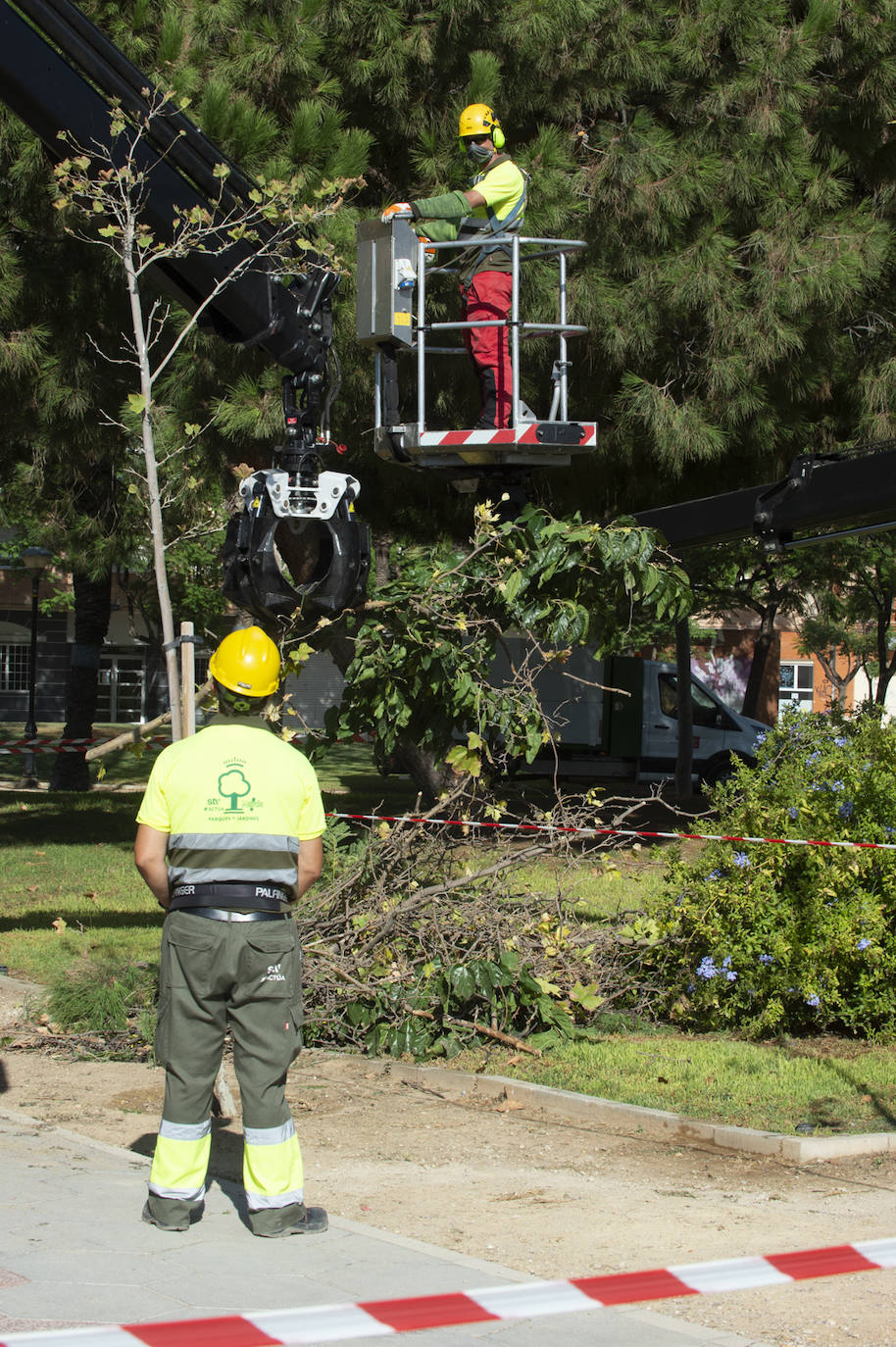 Fotos: Trabajos de limpieza y desinfección diarios en los parques de Murcia