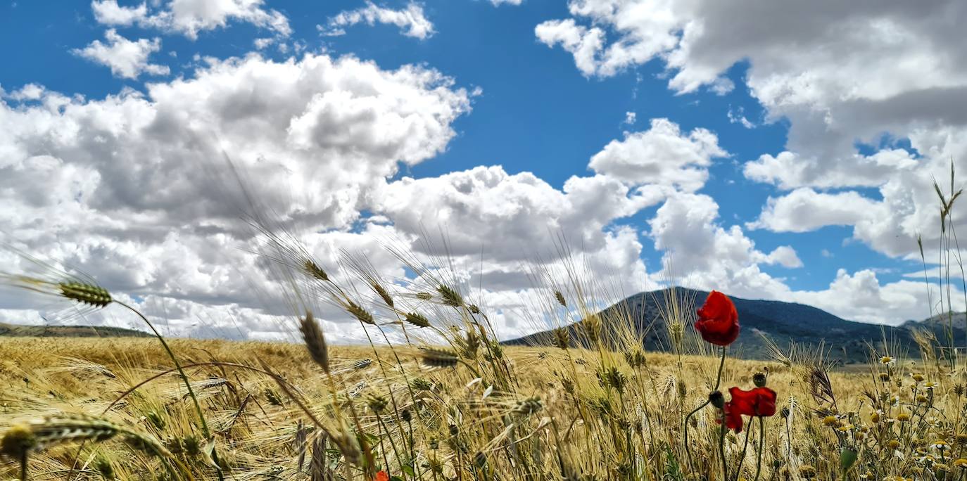 Fotos: &#039;Caminos de historia&#039;, la muestra fotográfica del pastor caravaqueño Juan Manuel Navarro