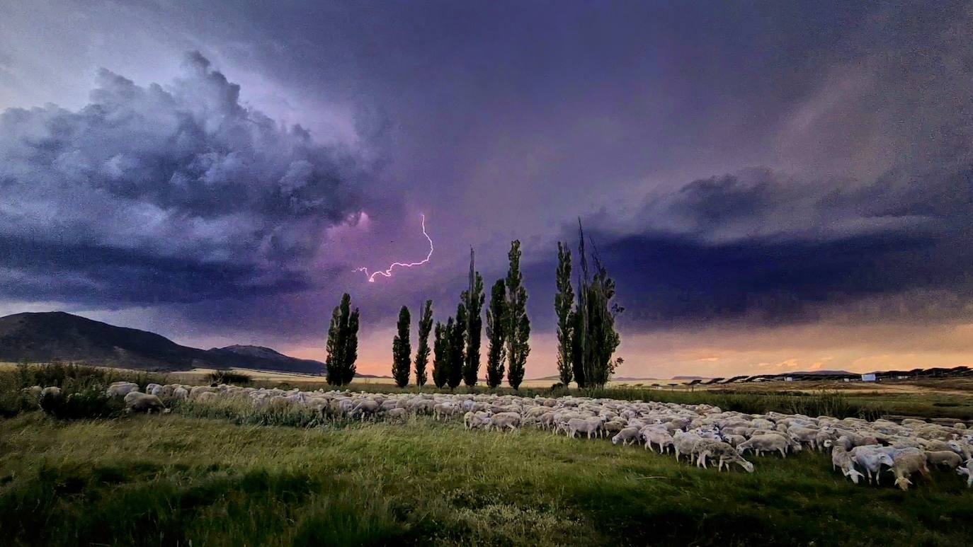 Fotos: &#039;Caminos de historia&#039;, la muestra fotográfica del pastor caravaqueño Juan Manuel Navarro