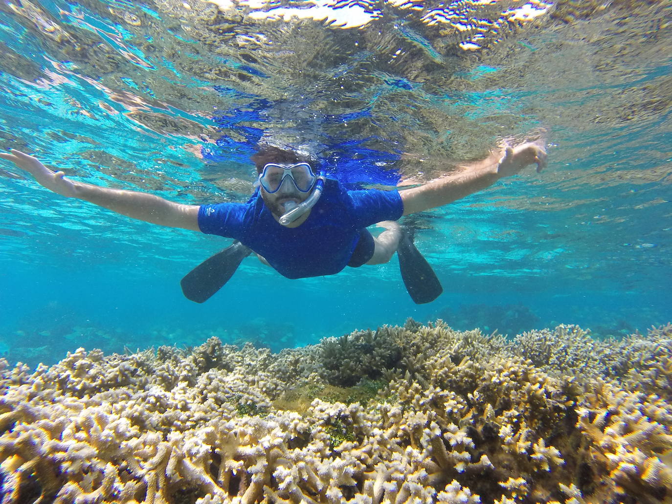 Fotos: El álbum fotográfico de &#039;Argonauta&#039;