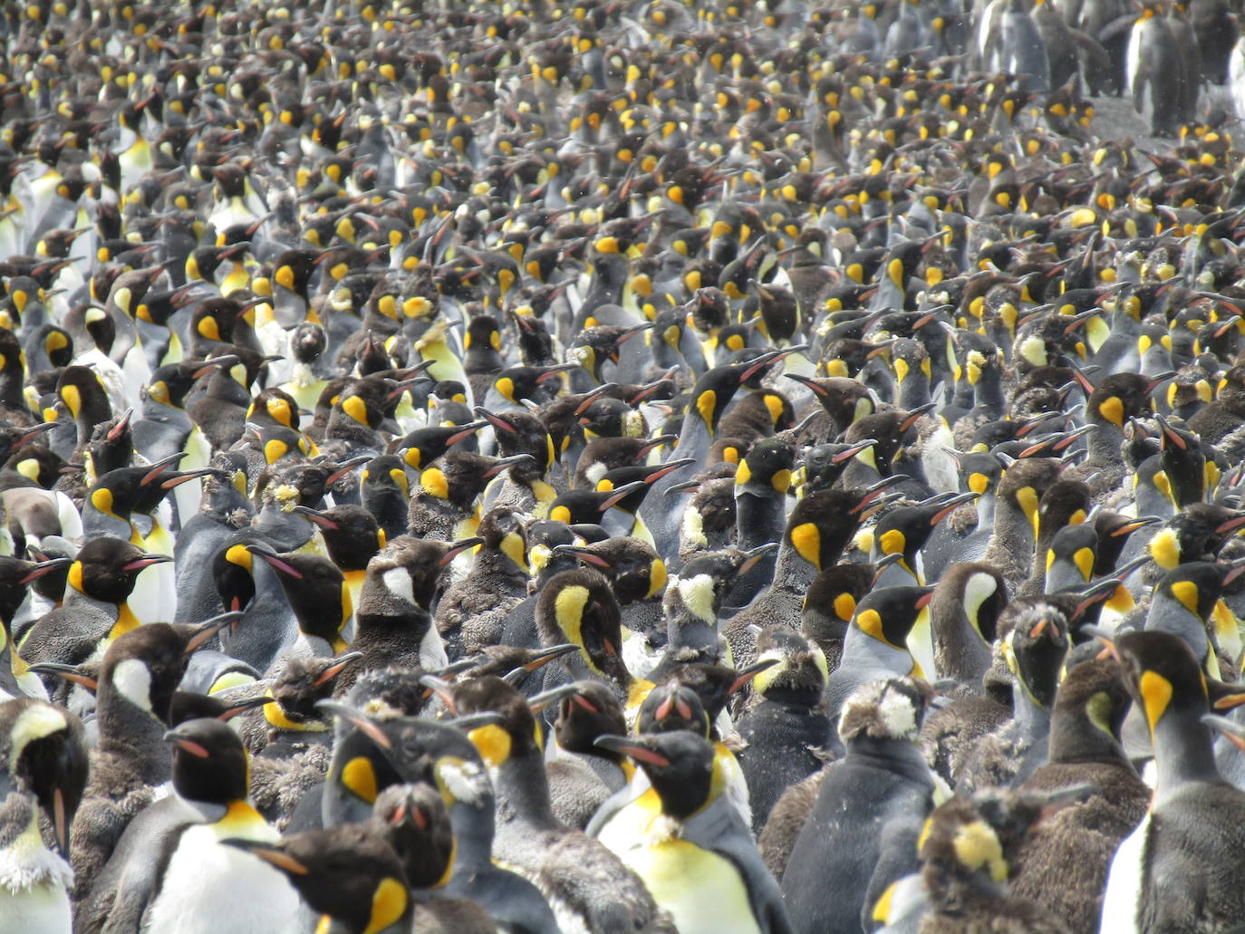 Fotos: El álbum fotográfico de &#039;Argonauta&#039;