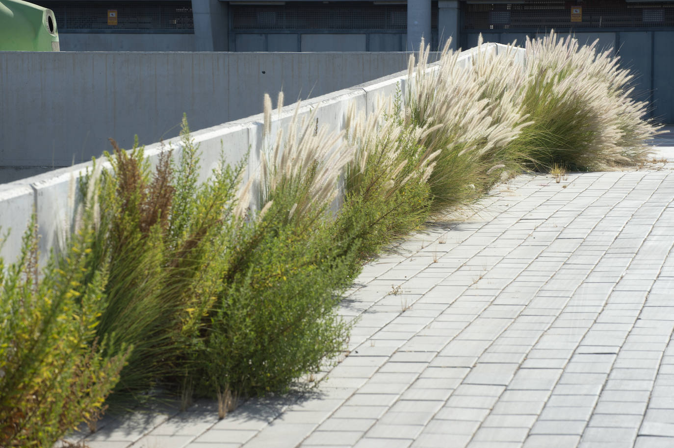 Fotos: Estado del interior y los aledaños del Enrique Roca