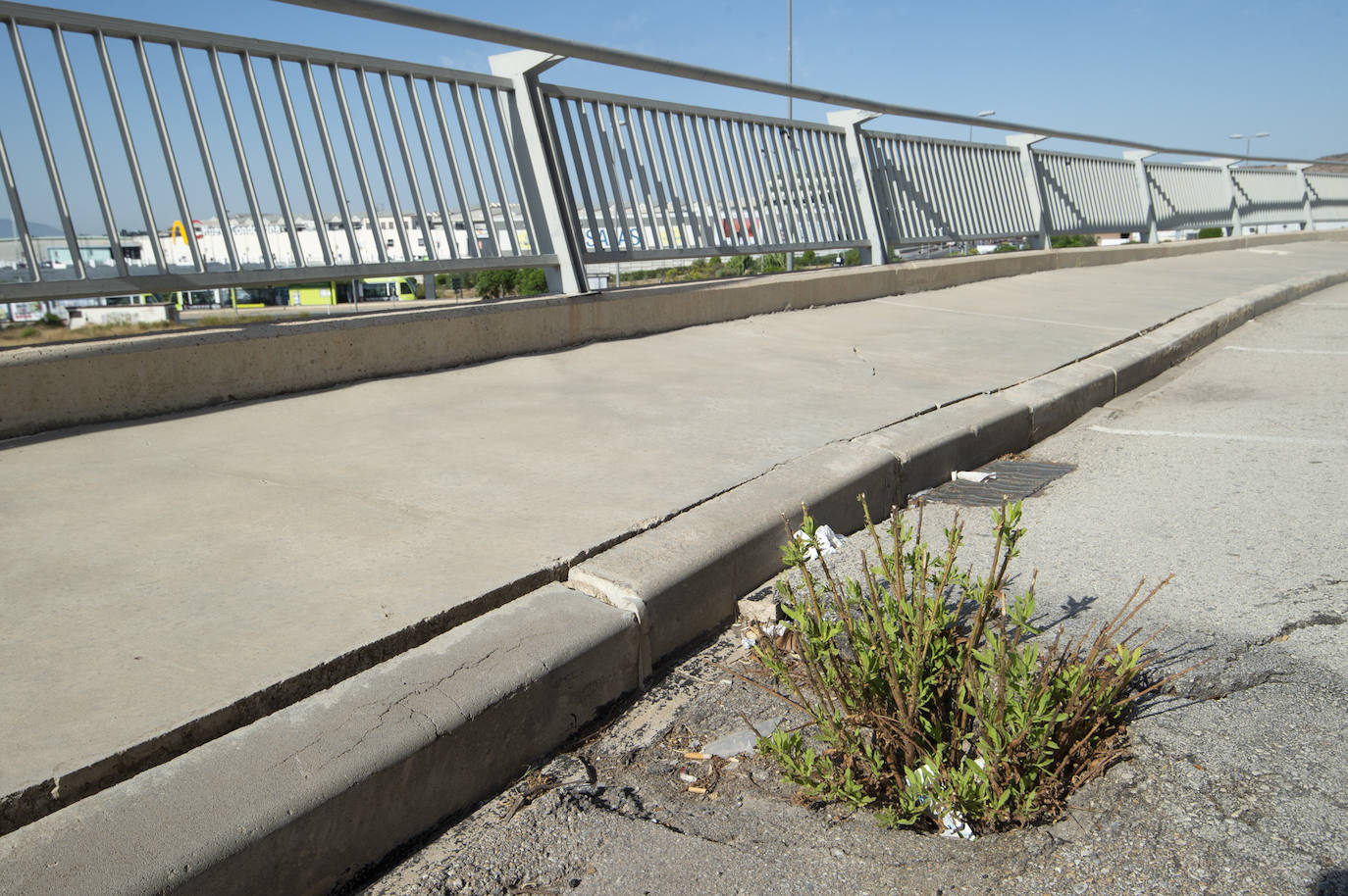 Fotos: Estado del interior y los aledaños del Enrique Roca