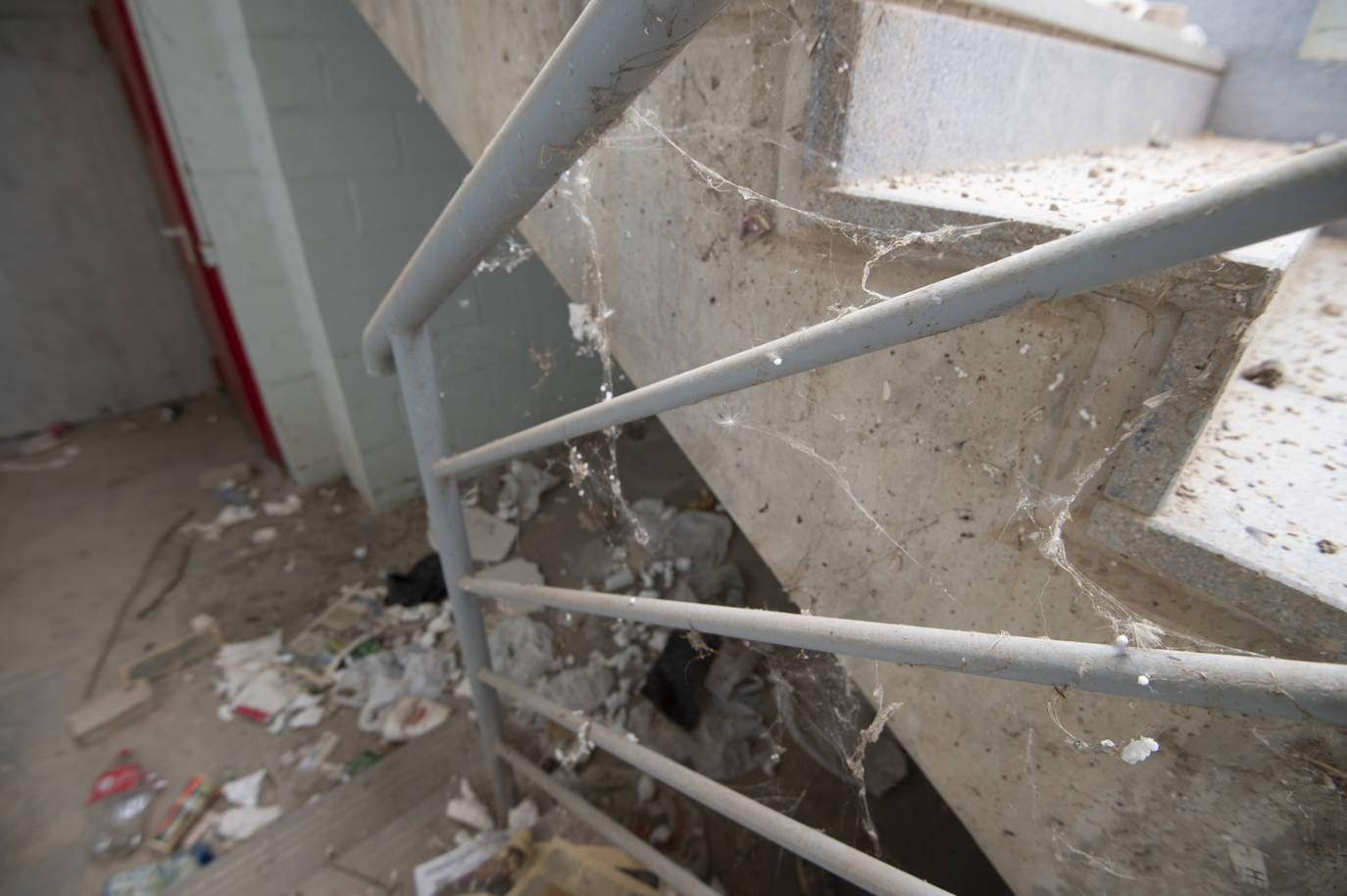 Fotos: Estado del interior y los aledaños del Enrique Roca