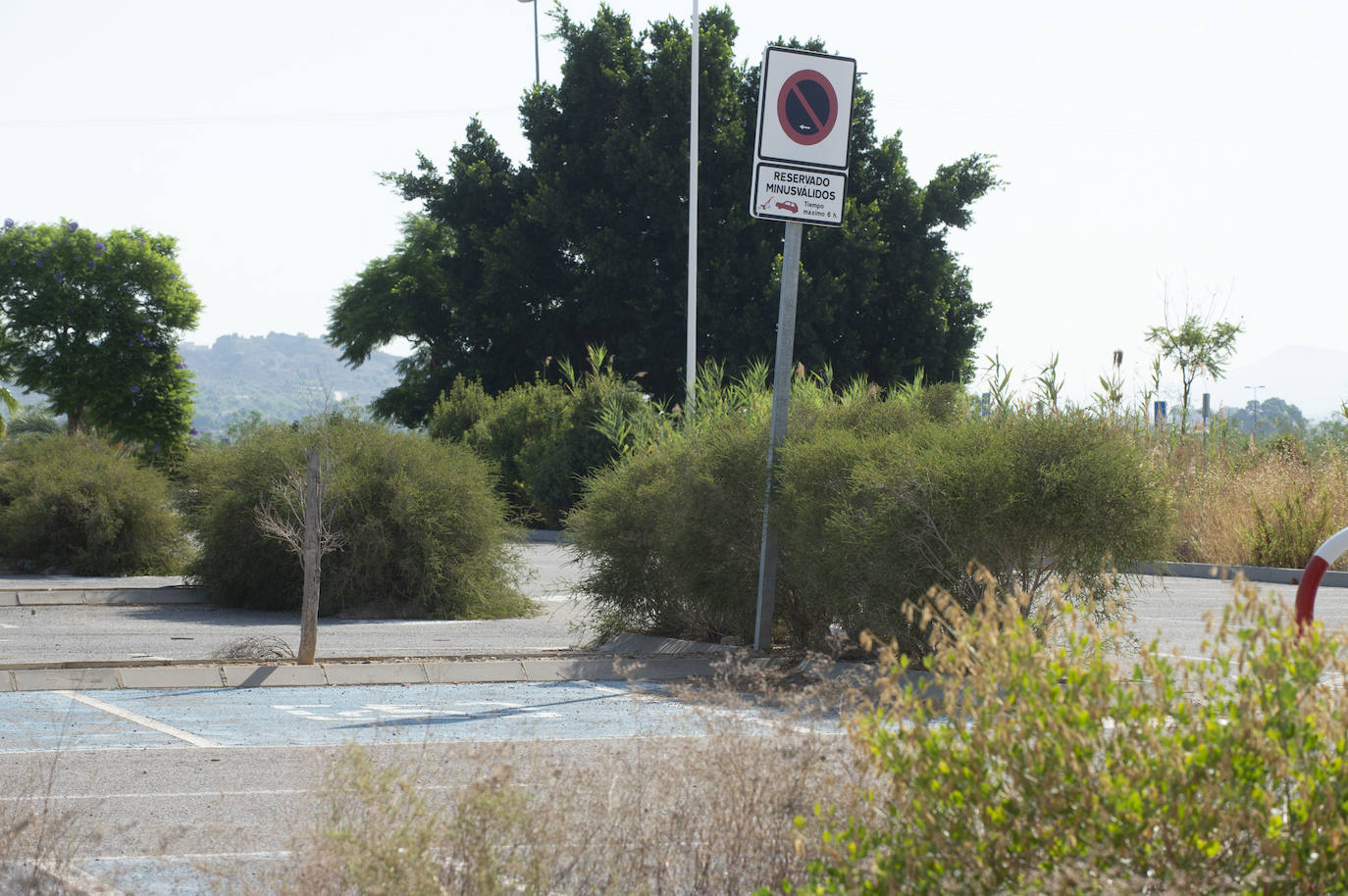 Fotos: Estado del interior y los aledaños del Enrique Roca