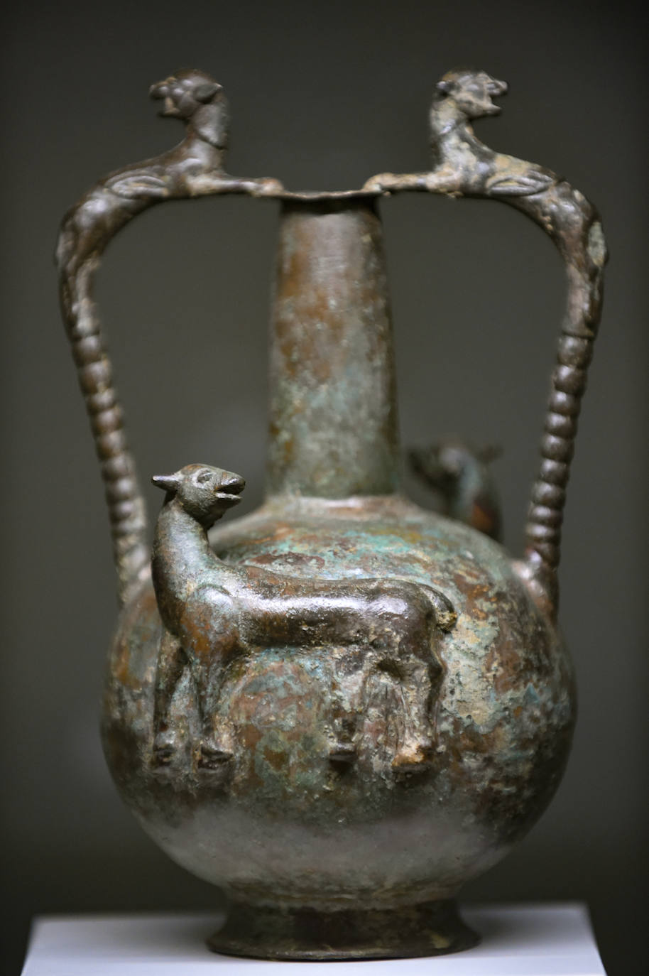 Fotos: Exposición &#039;Luchando contra el expolio&#039;