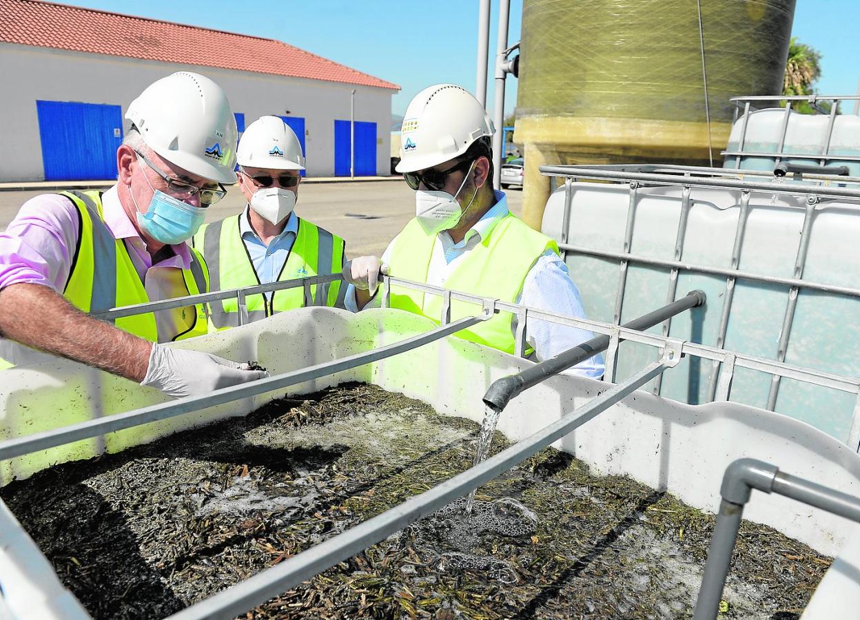 Antonio Navarro, Rafael Gómez y Francisco Javier Navarro, junto a uno de los depósitos con astillas de cítricos. 