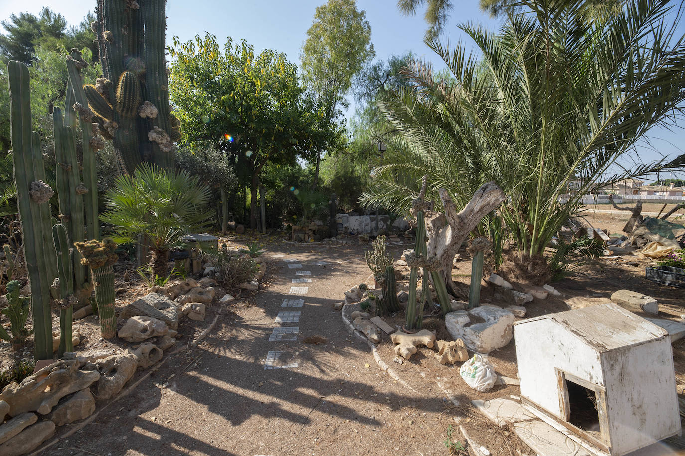 Fotos: El Huerto de Cándido, en La Palma, será un jardín botánico