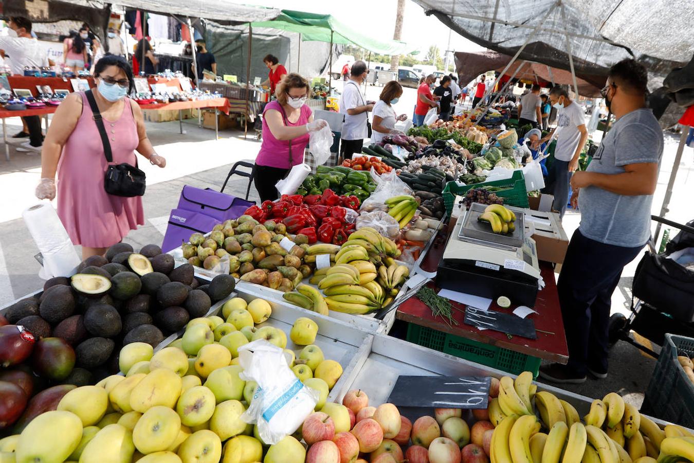 Fotos: Primer domingo del nuevo mercadillo de La Fica