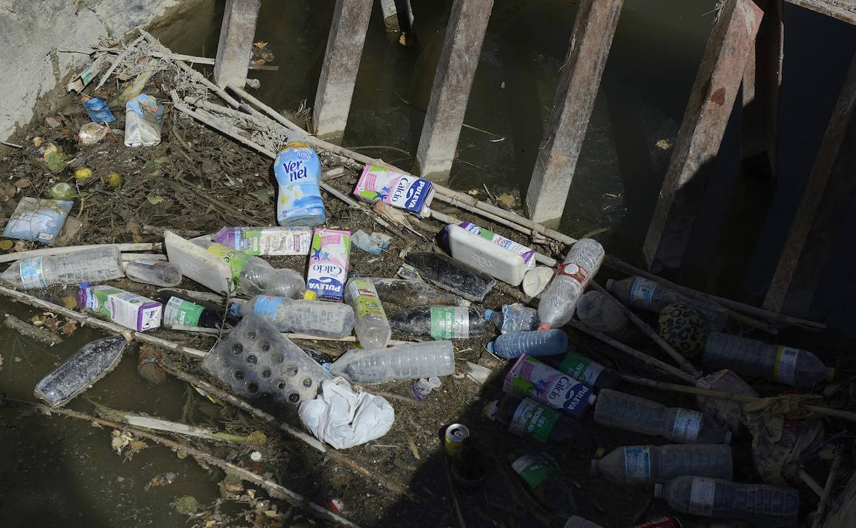 Estado de una acequia de Murcia, este viernes.