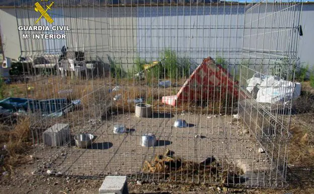Imagen principal - Estado de las instalaciones y los perros que había en su interior, uno de ellos muerto.