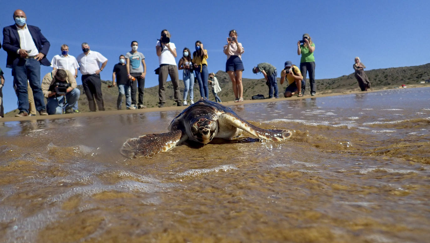 Fotos: El océano comienza en Calblanque